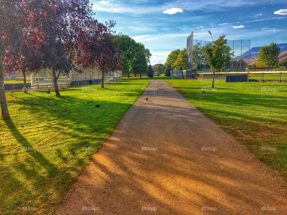 Beautiful summer walk! 