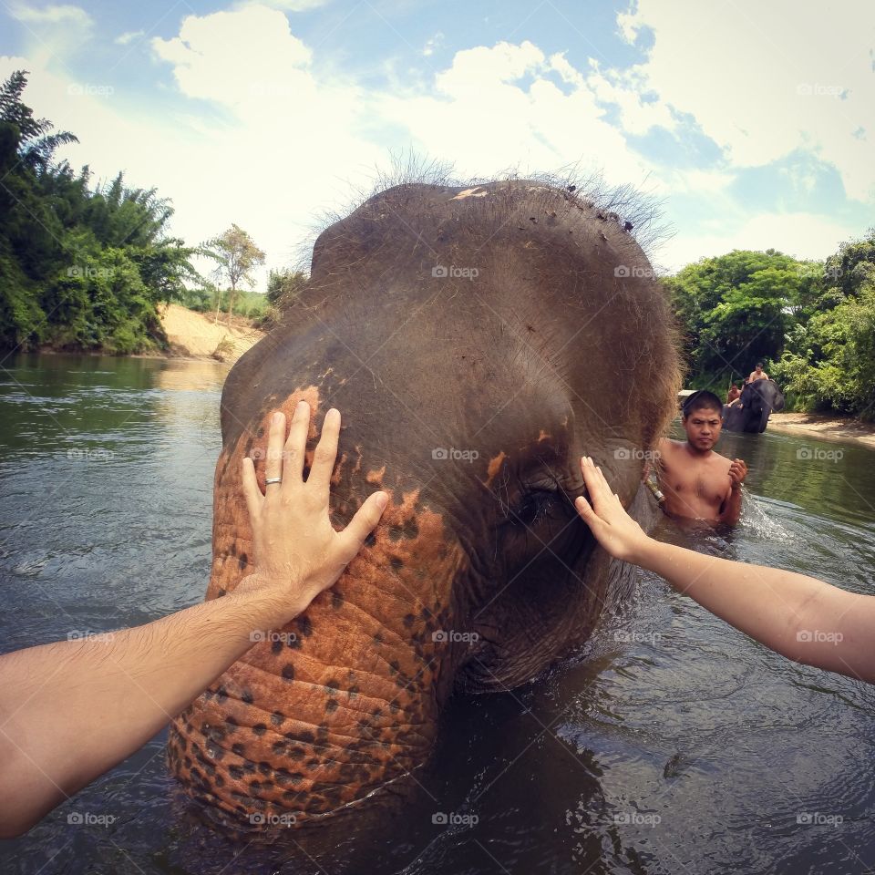 Elephants in Thailand. After a bath with this amazing animal