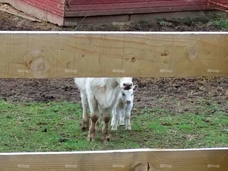 Driving the back Roads and enjoying everything around us