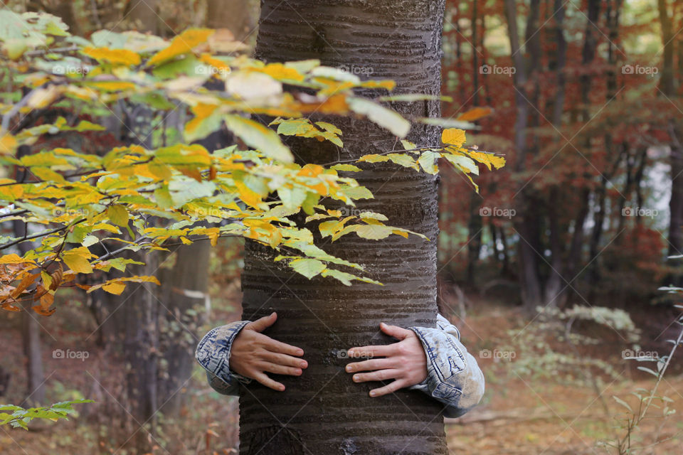 Hug a tree, nature lover