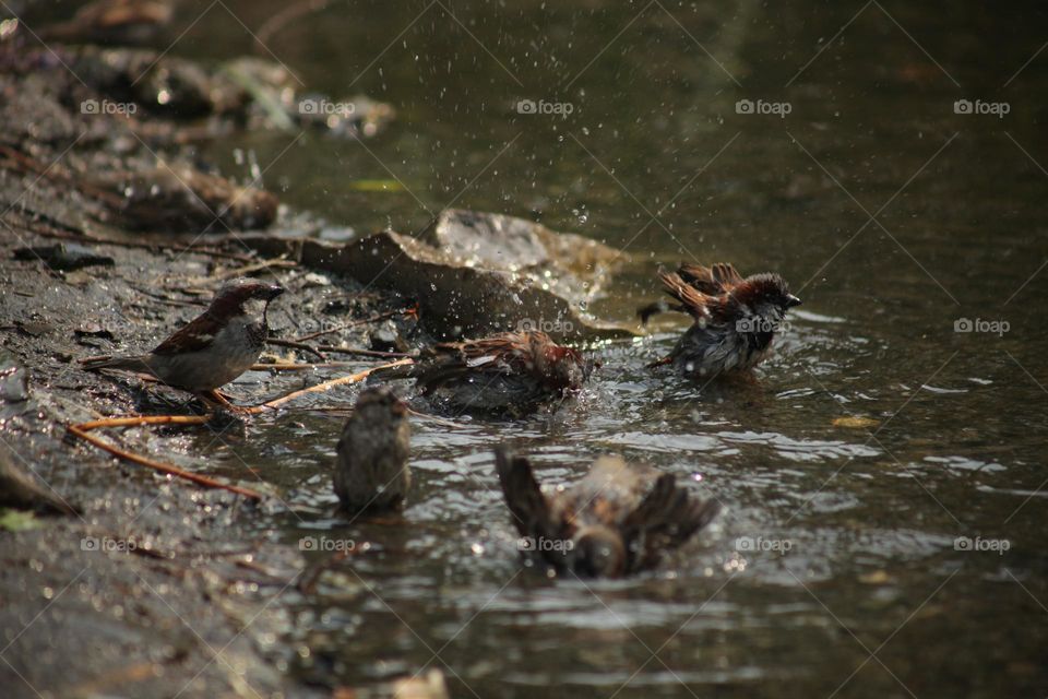 Water procedures