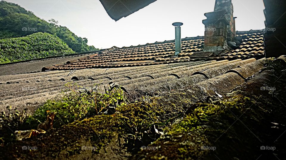 MUSGOS TELHADO CHAMINÉ