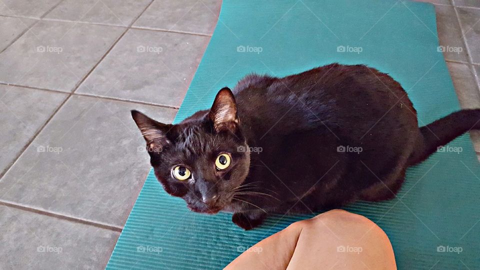 I'm Going to Yoga Too