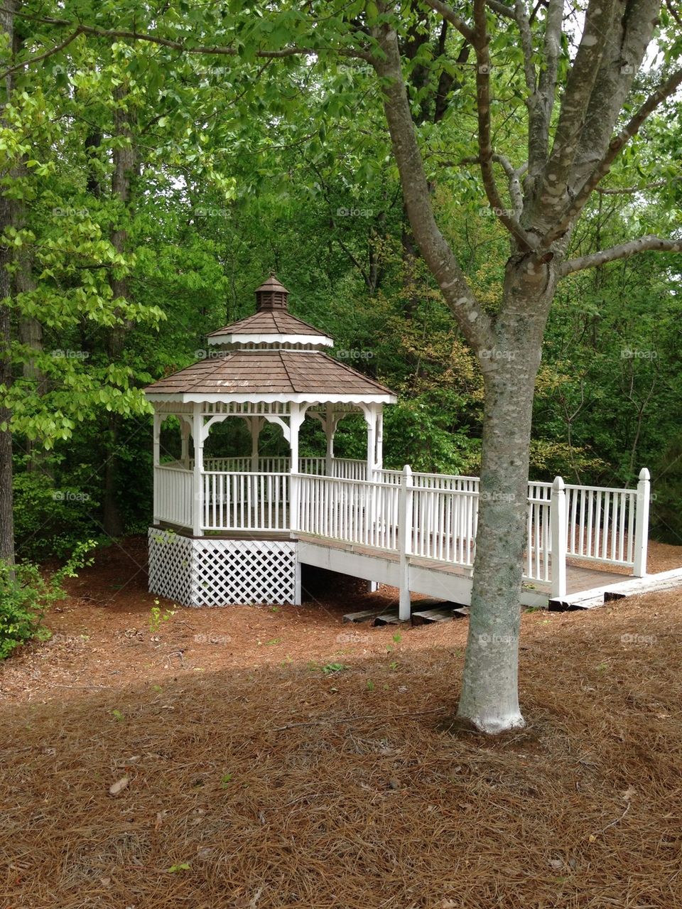 Gazebo in the trees