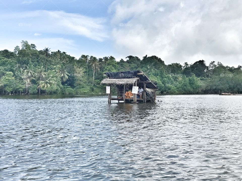 Madu river safari in Sri Lanka 