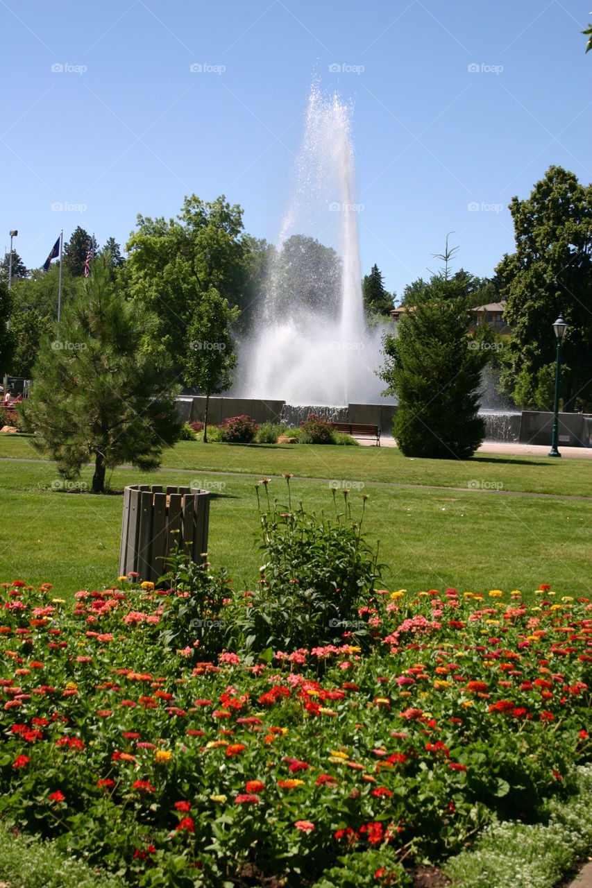 Water fountain in a park