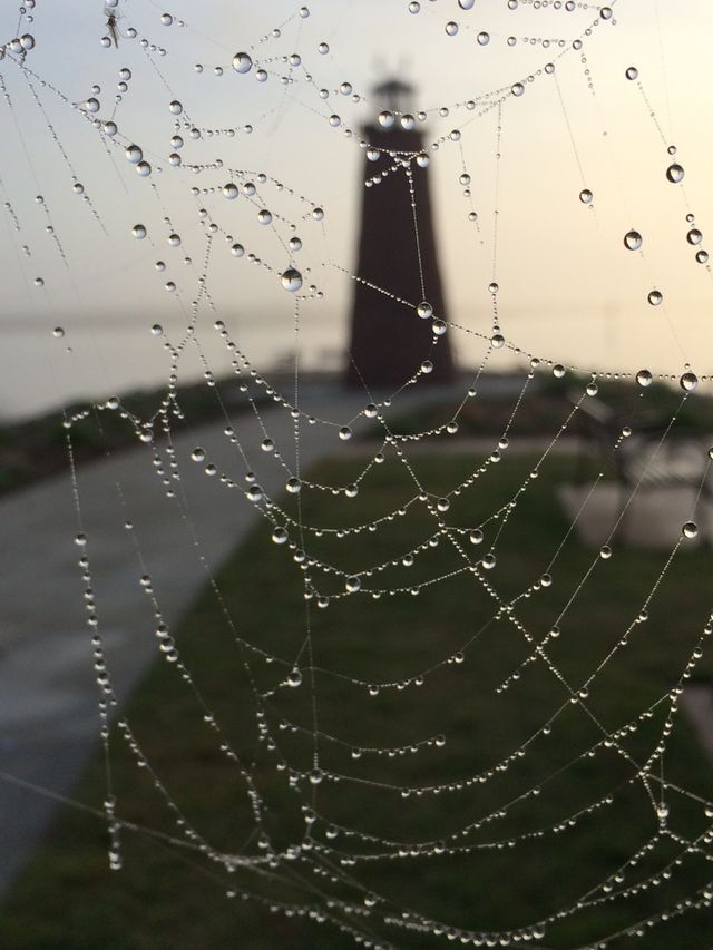 It seems that the spider wanted to catch a lighthouse in its web. That's how it looks on this side of it. But unfortunatelly it got flooded. 