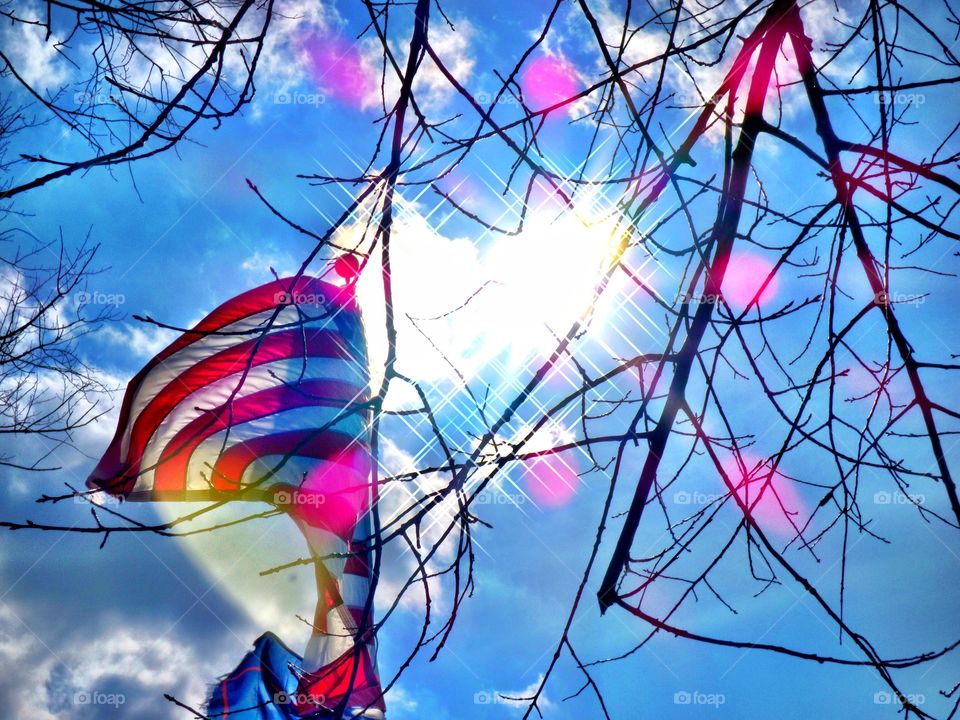 Sun tree and the flag