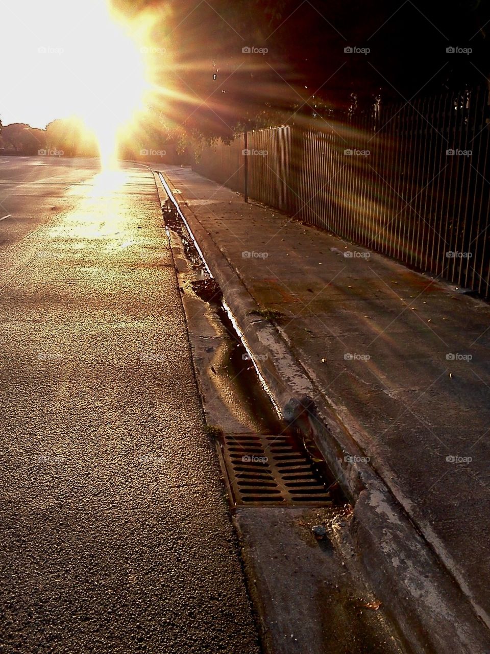 Sunset reflected on the street and the sidewalk