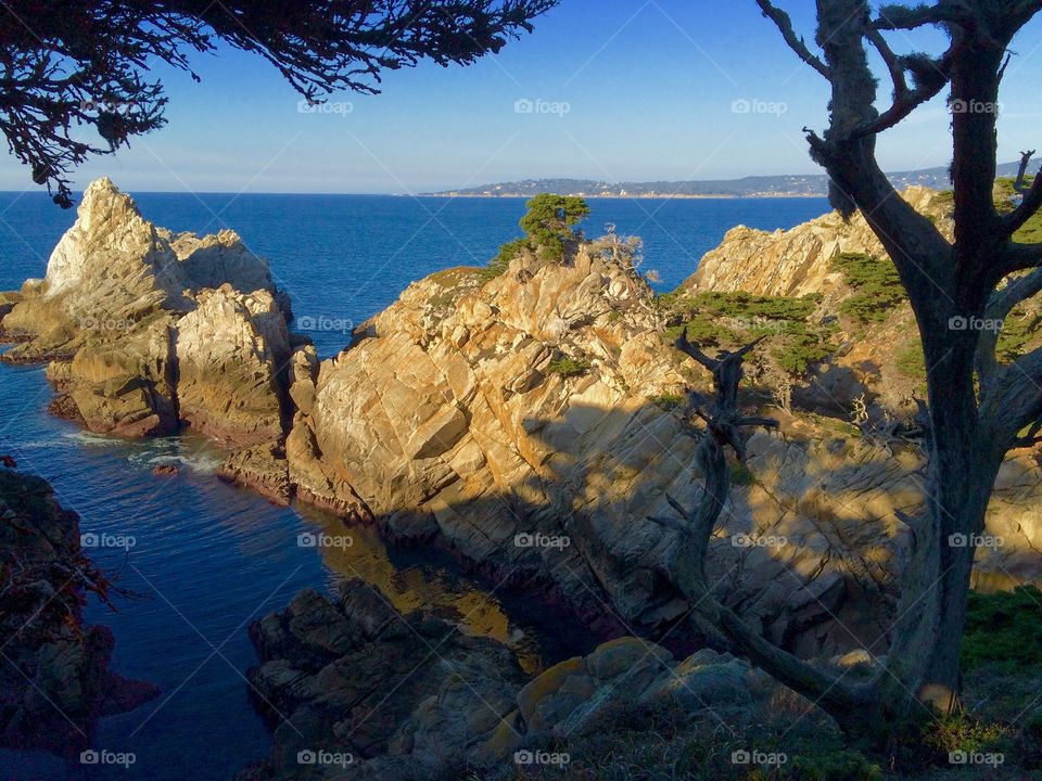 Point lobos state reserve, california