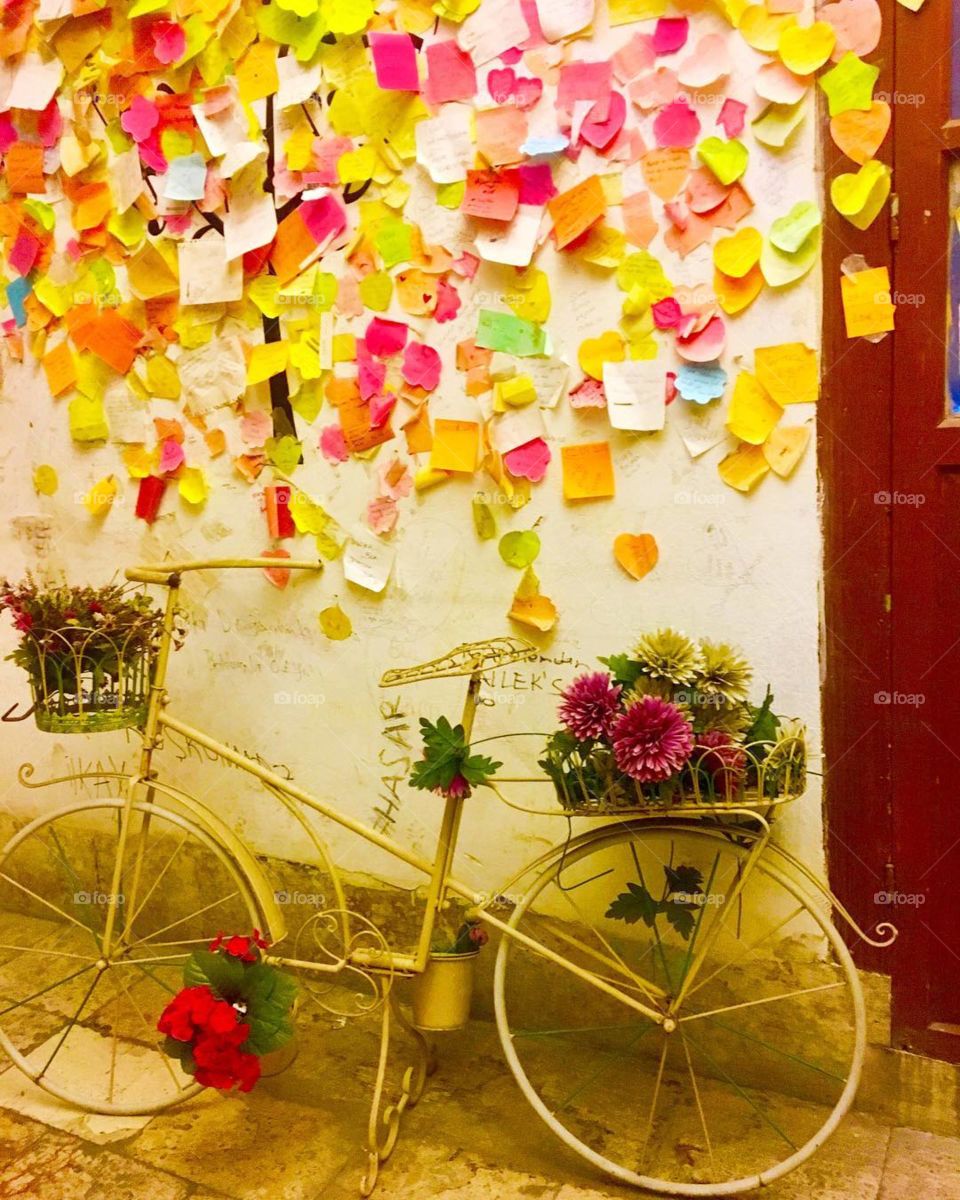 what do you want to wish