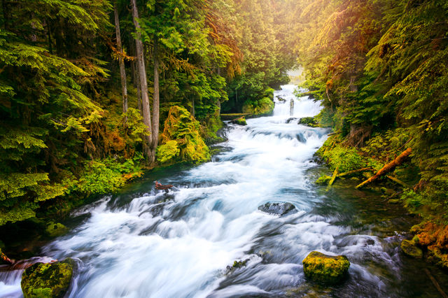 Waterfall, Water, No Person, River, Fall