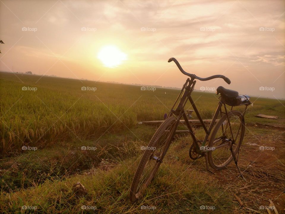 Old bicycle with sunset view