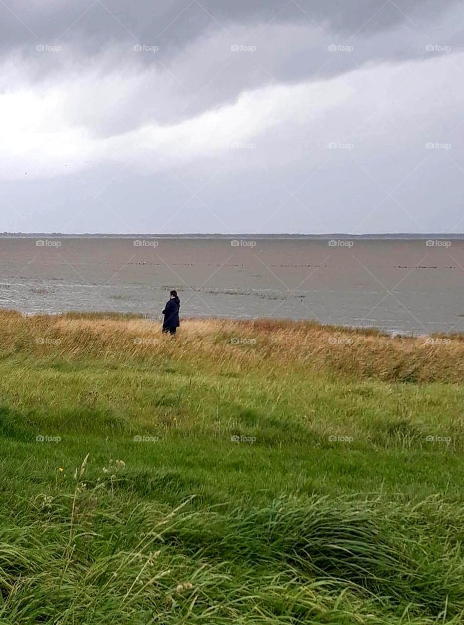 Danish nature is calming - enjoy the Danish community