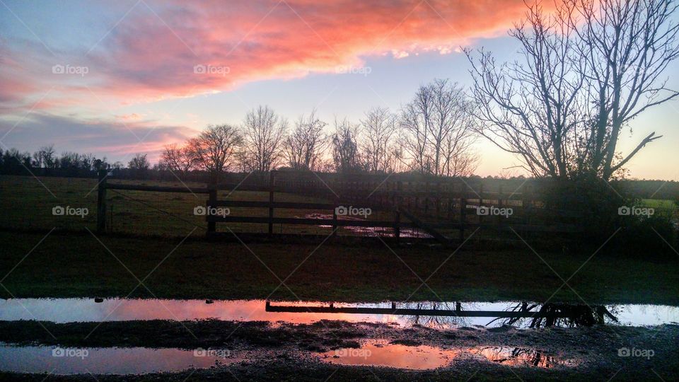 Springtime Sunset After The Rain