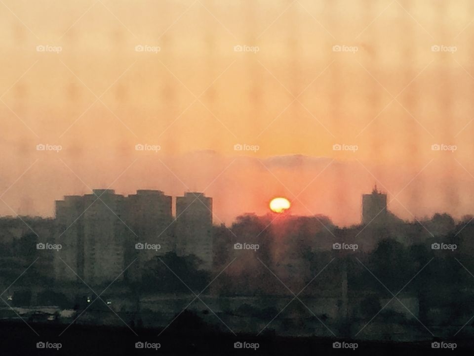 Window net  Sunset 