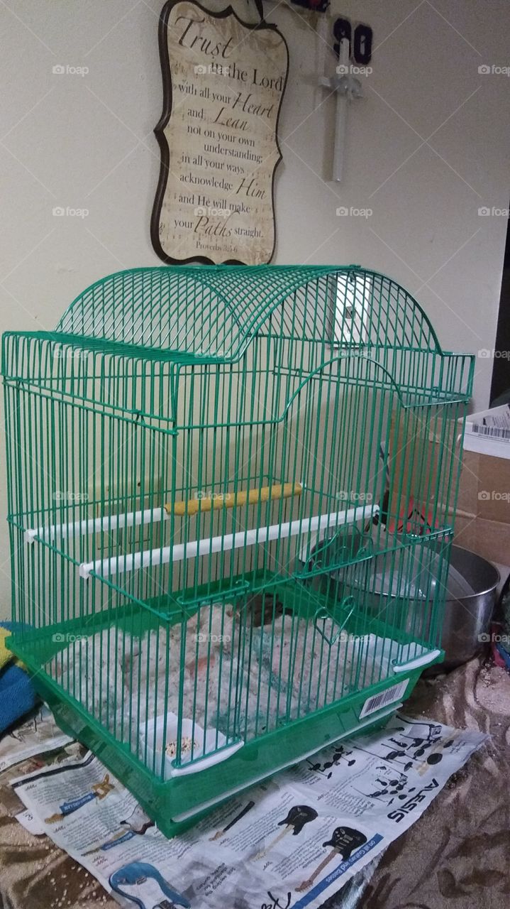 Bird cage with one bird
