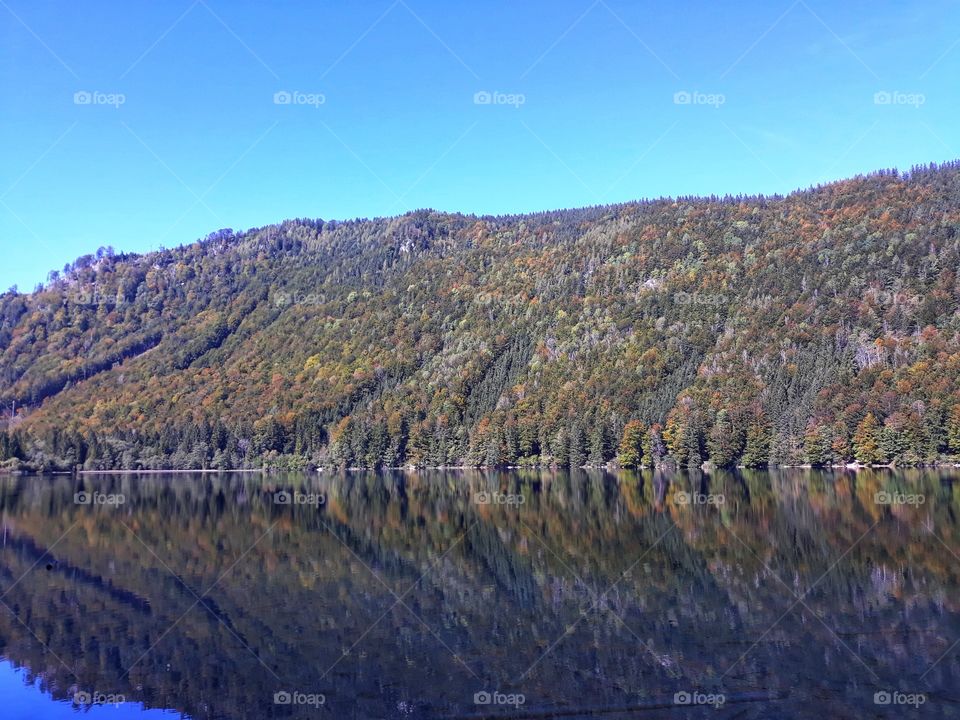 A lovely autumnal landscape