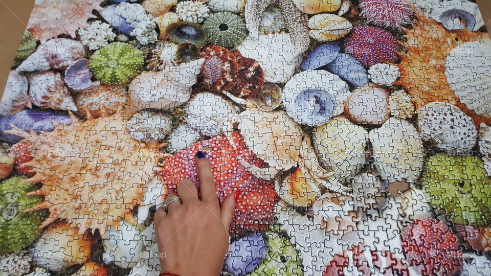 Directly above view of women hand with puzzle