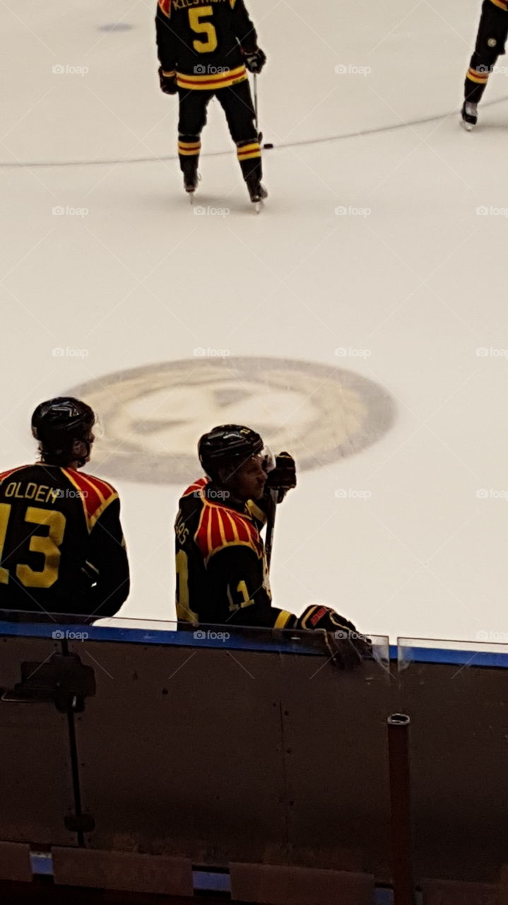 Players in Brynäs IF