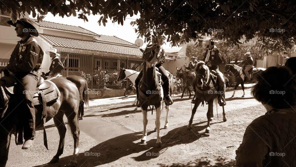 Cavalos, touros e cavaleiros. Cavalgada nas ruas. Evento agropecuario tradicional comemorativo de aniversario de cidade brasileira. Cowboys e Cowgirls.