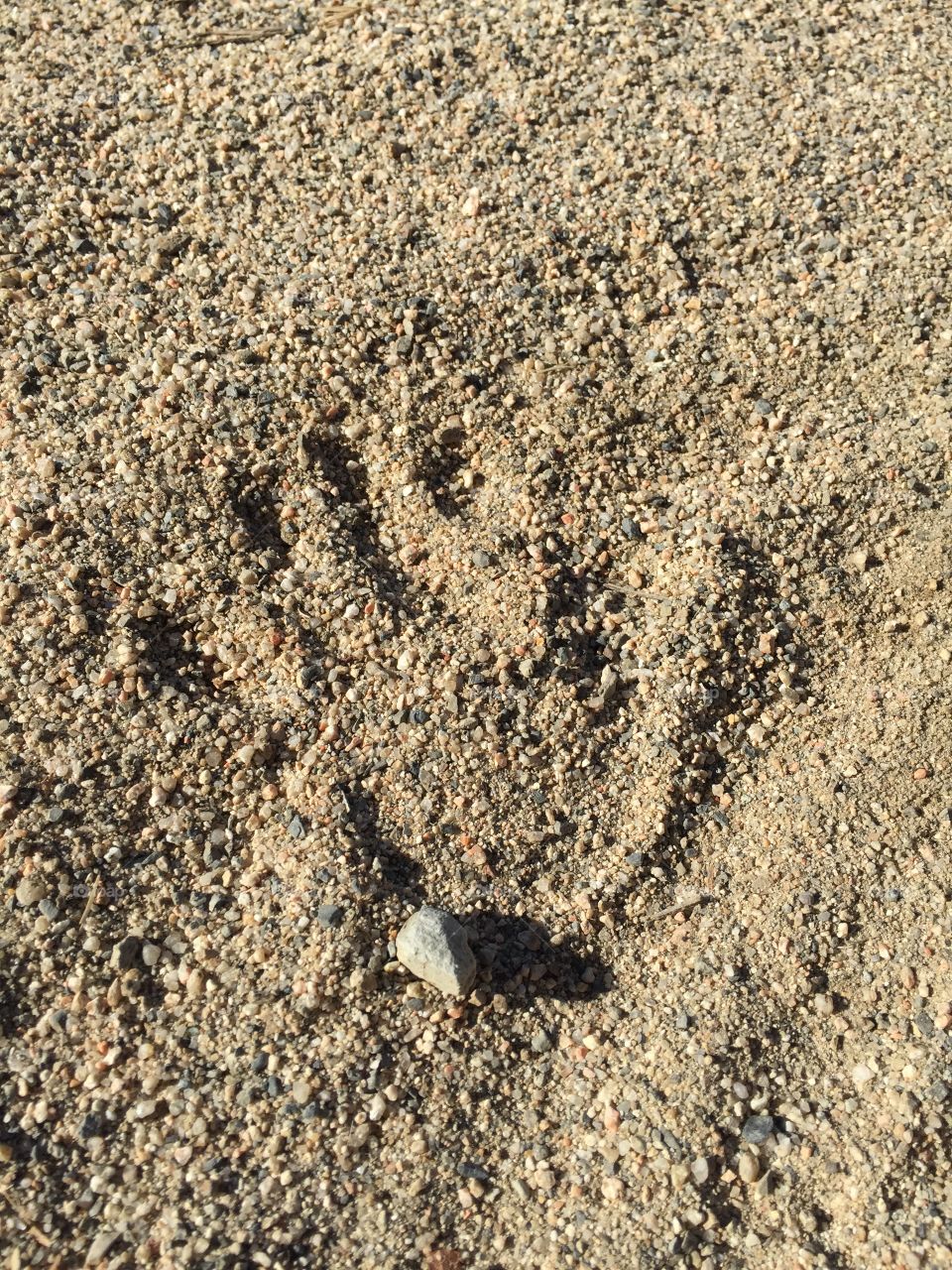 Handprint in the sand