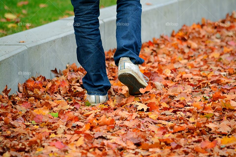 Walking in leaves