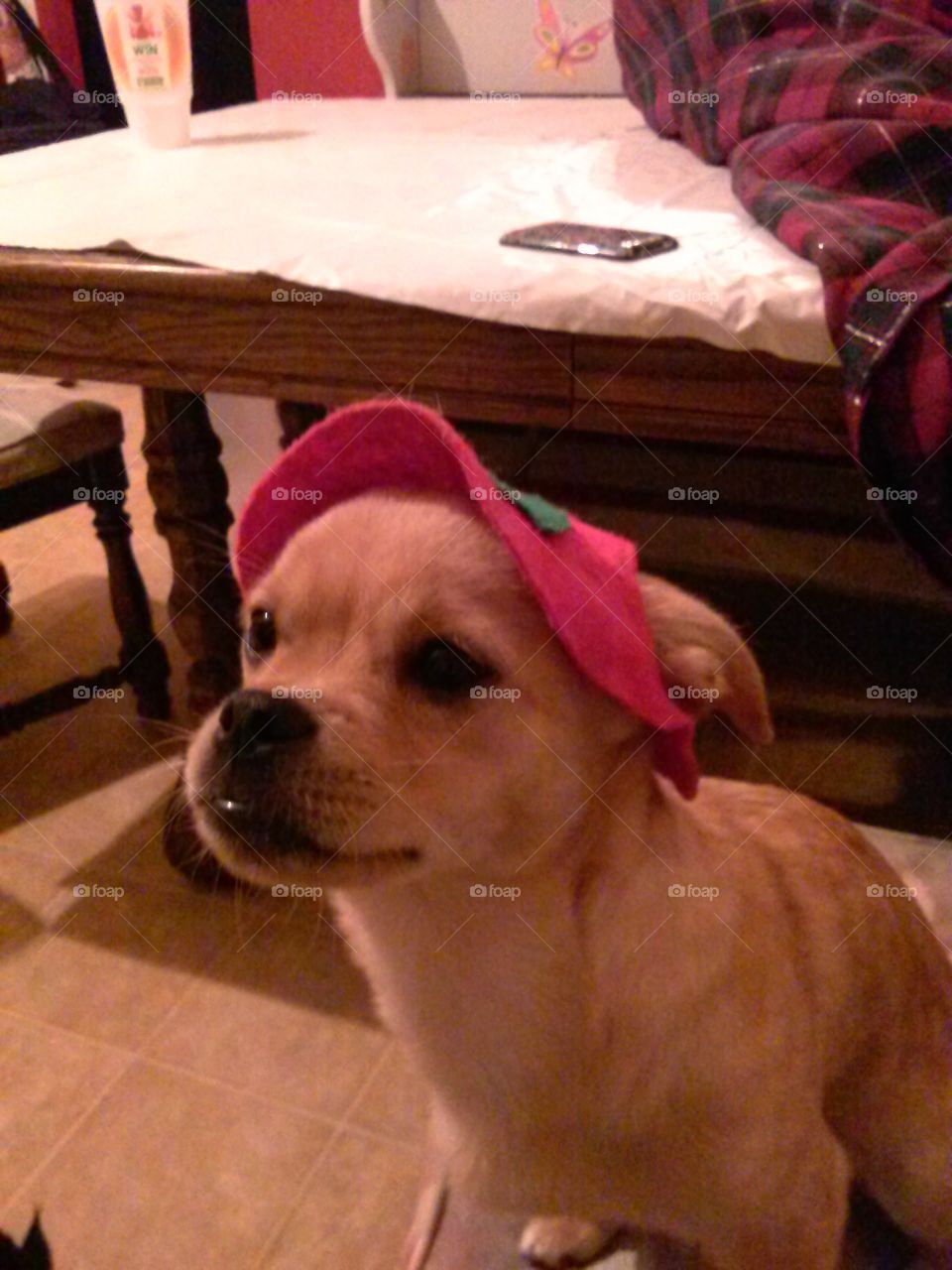Angel in a Christmas hat