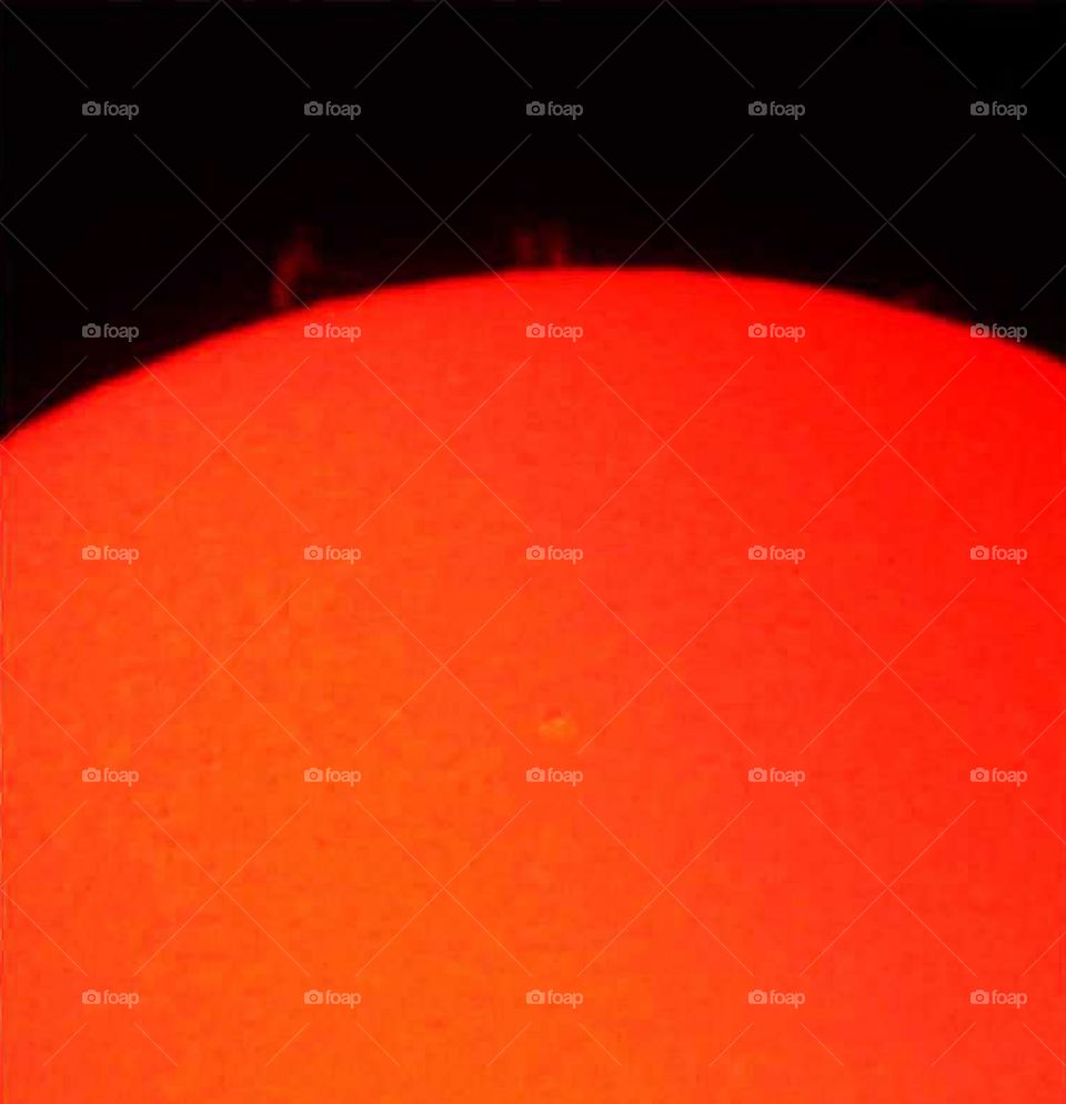Sun prominences
