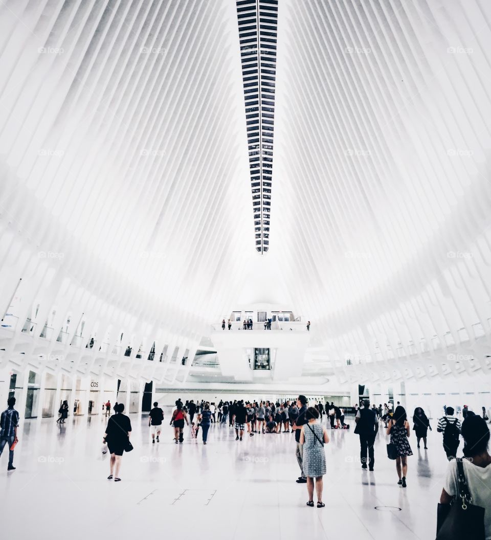 The Oculus 