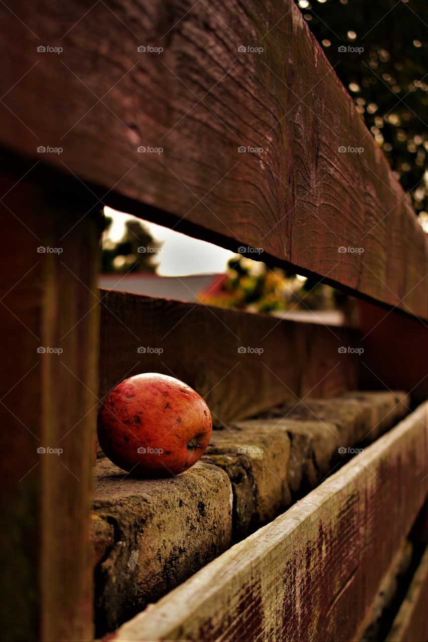 Same apples, different photos 👌