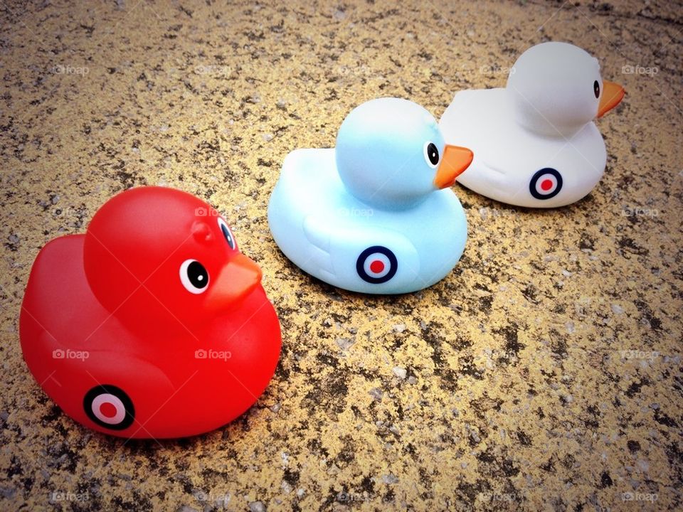 RAF Association ducks