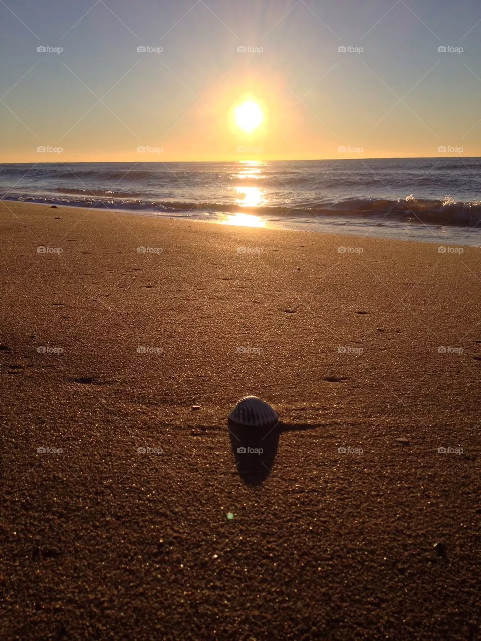 Sea