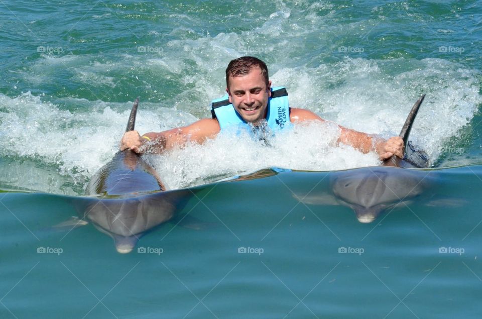 Wonderful dolphins 🐬