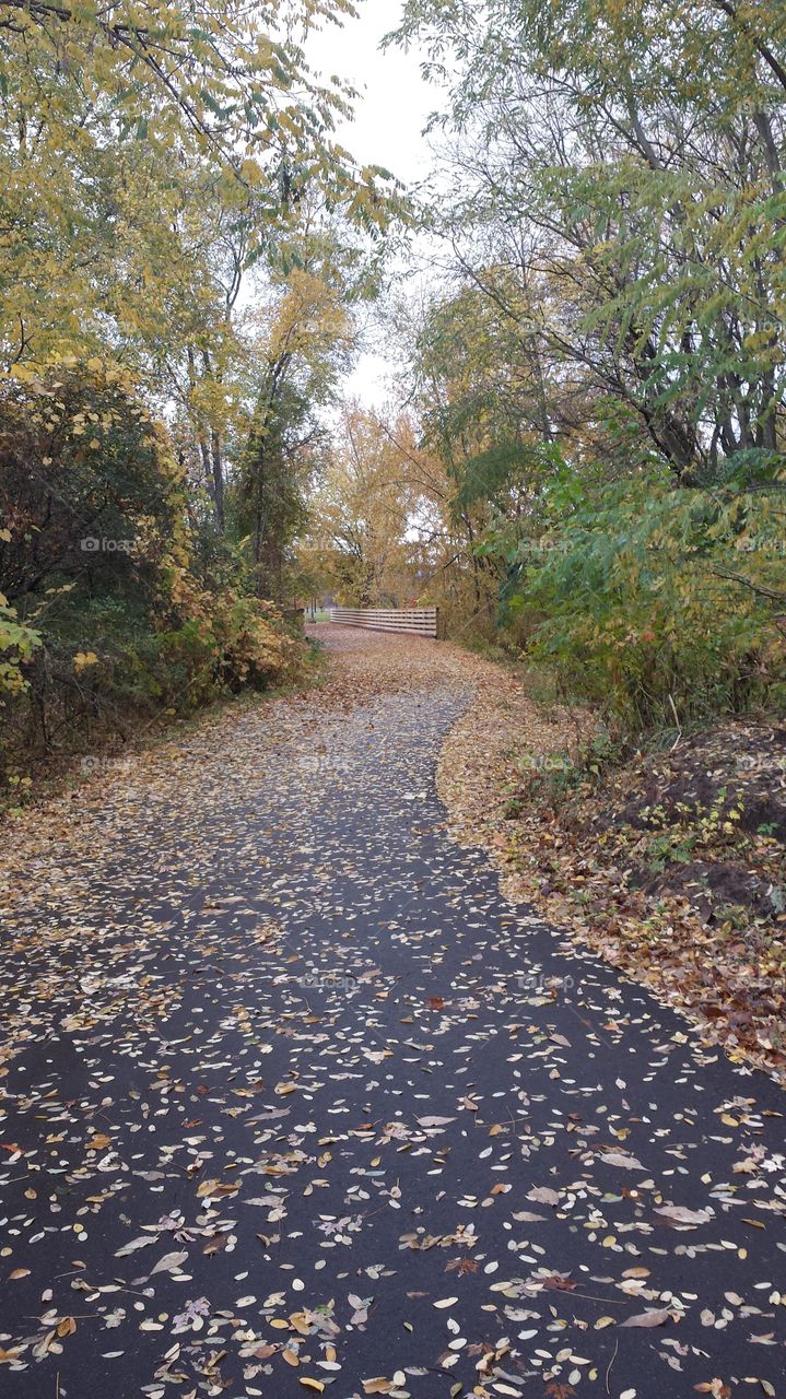 Fall trails. fall walk in Wisconsin