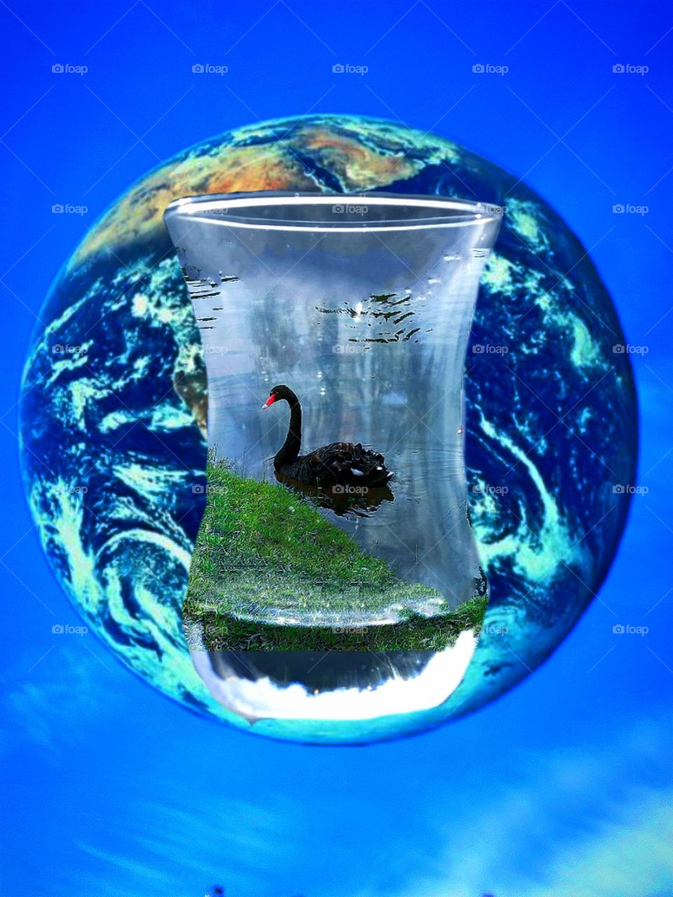 The planet Earth is located against the background of the blue sky (view from space).  Against the background of the planet is a transparent glass of "armuda" with a green shore and a black swan floating in the water.