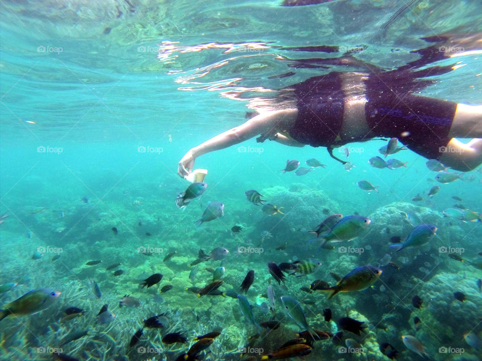 fish feeding underwater