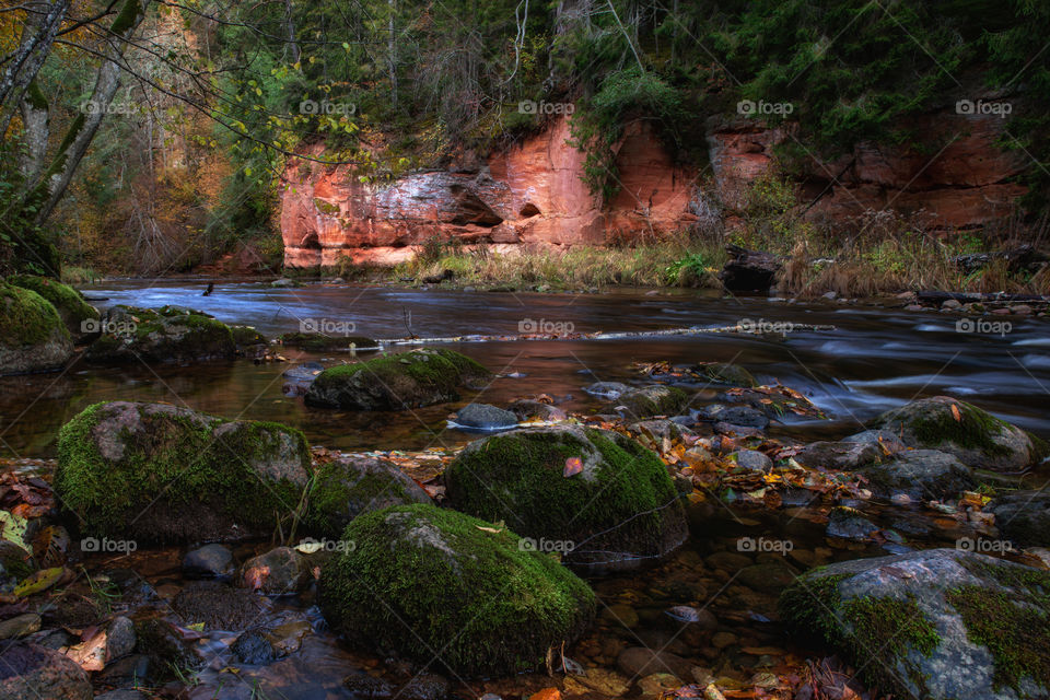 Autumn. River. Stream.