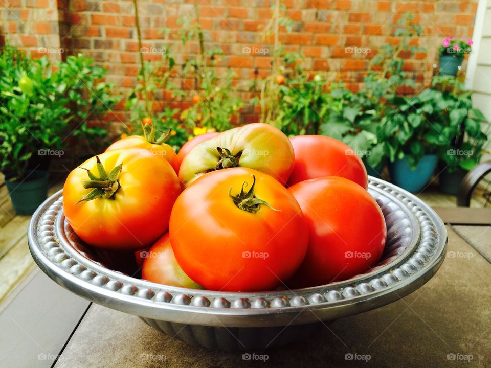 Homegrown red, ripe tomatoes