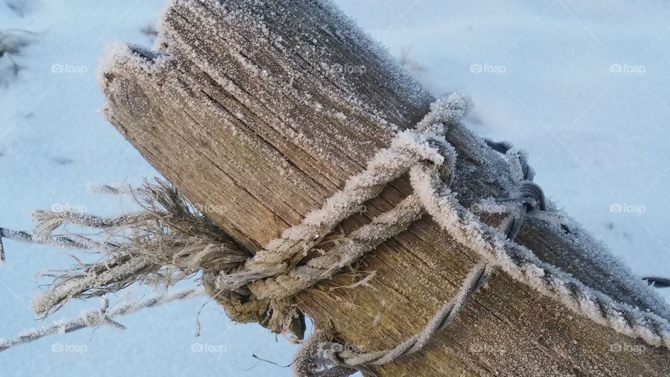 Frozen Wood Material of a broken Fence