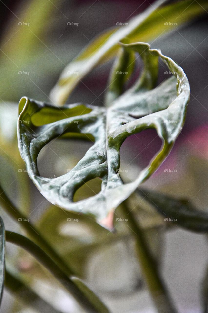 ‏YOᑌᖇ SᗰIᒪE IS YOᑌᖇ ᗷEST 
‏ᗯEᗩᑭOᑎ Iᑎ ᕼᗩᖇᗪ TIᗰES!

