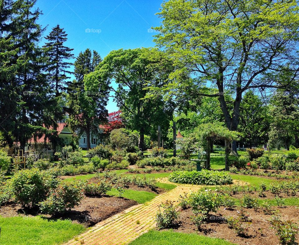 Booth Park . Flower beds 