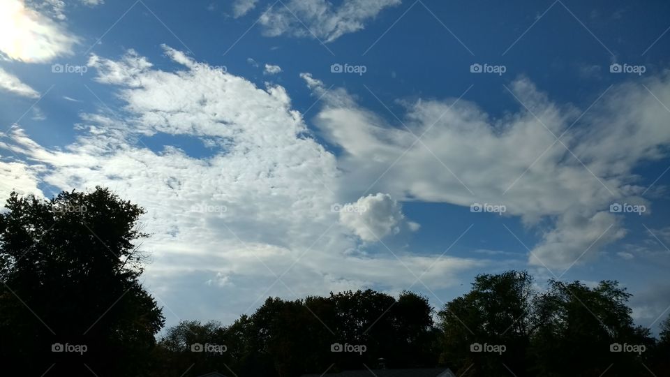 Fair weather clouds