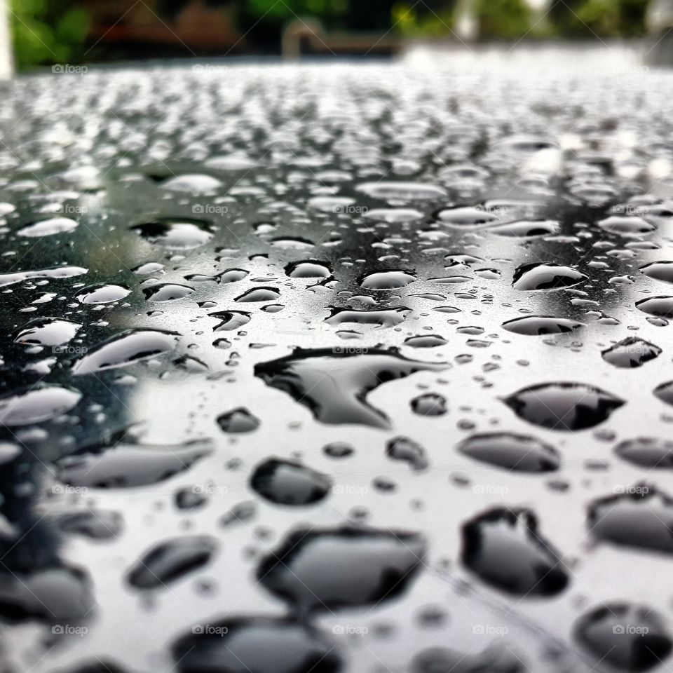 Rain Art on a Car Hood