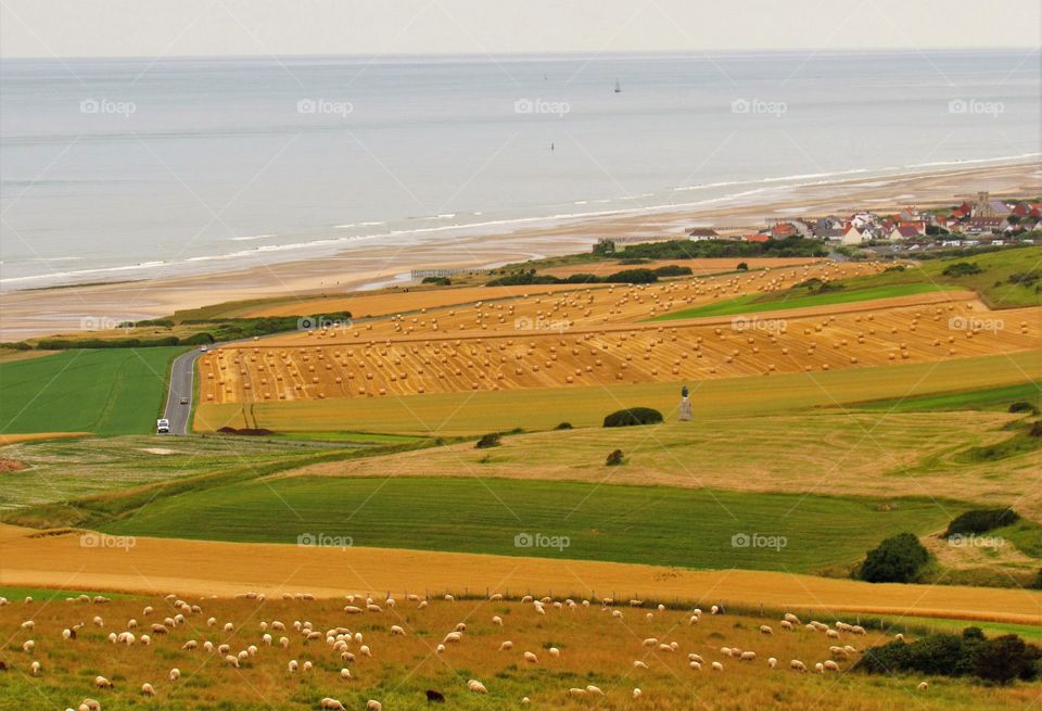 Cap Blanc Nez France