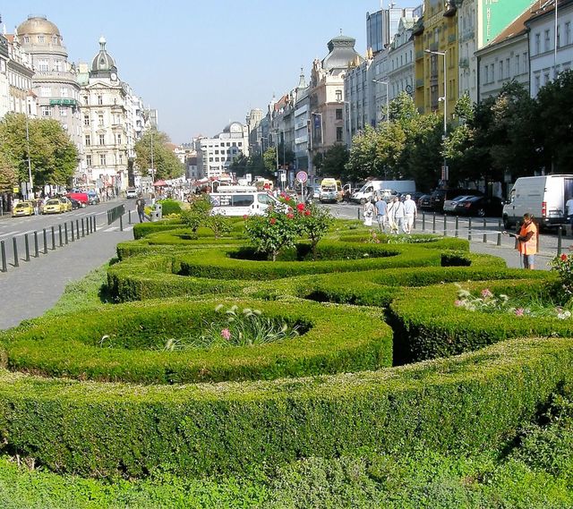Garden