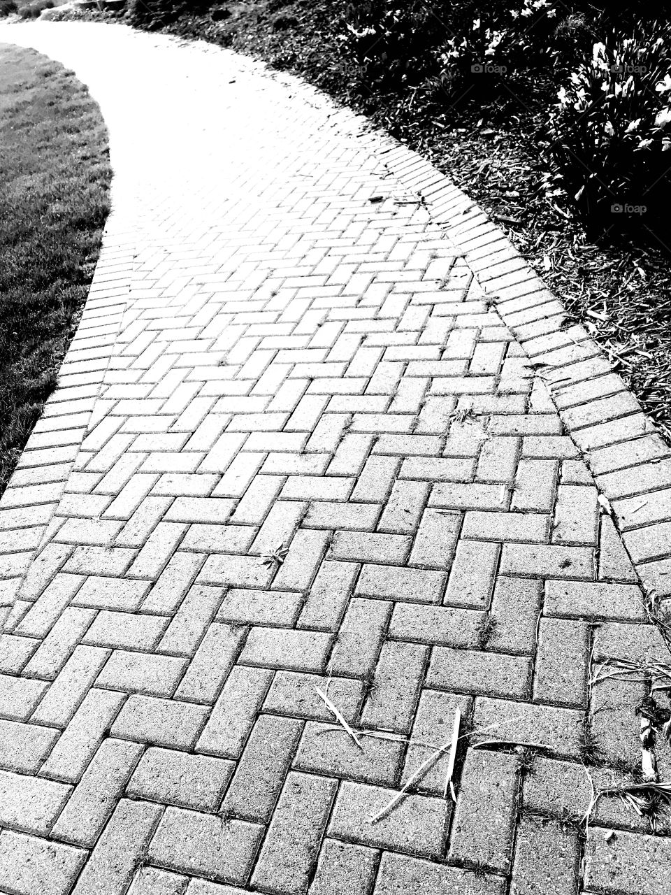 Interesting angles and shapes of all different sizes shapes and colors can be observed when in nature. 