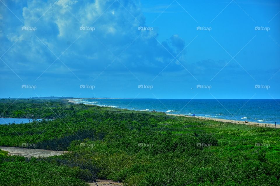 Canaveral National Seashore