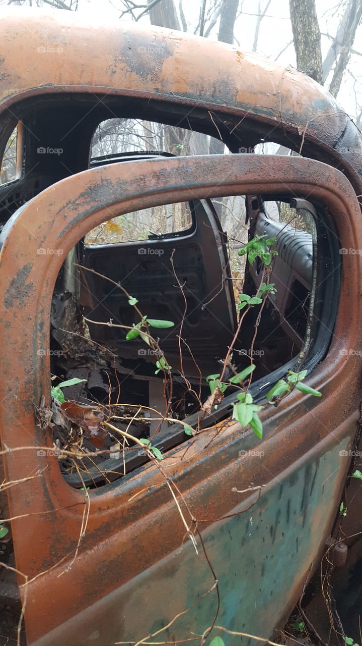 nature taking back a forgotton old truck