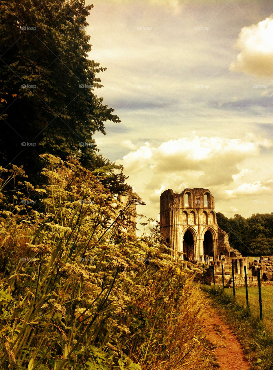 Roche Abbey in summer
